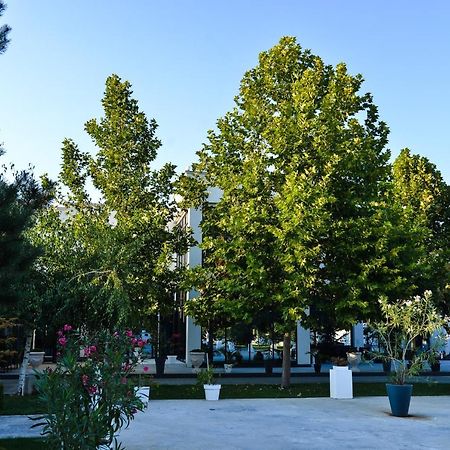 Mesecev Konak Bed and Breakfast Ni Εξωτερικό φωτογραφία