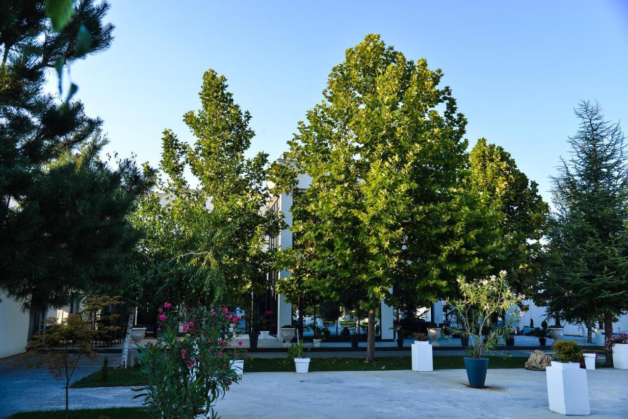Mesecev Konak Bed and Breakfast Ni Εξωτερικό φωτογραφία