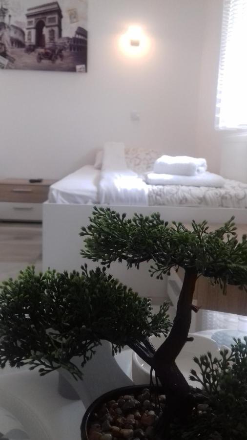 Mesecev Konak Bed and Breakfast Ni Εξωτερικό φωτογραφία