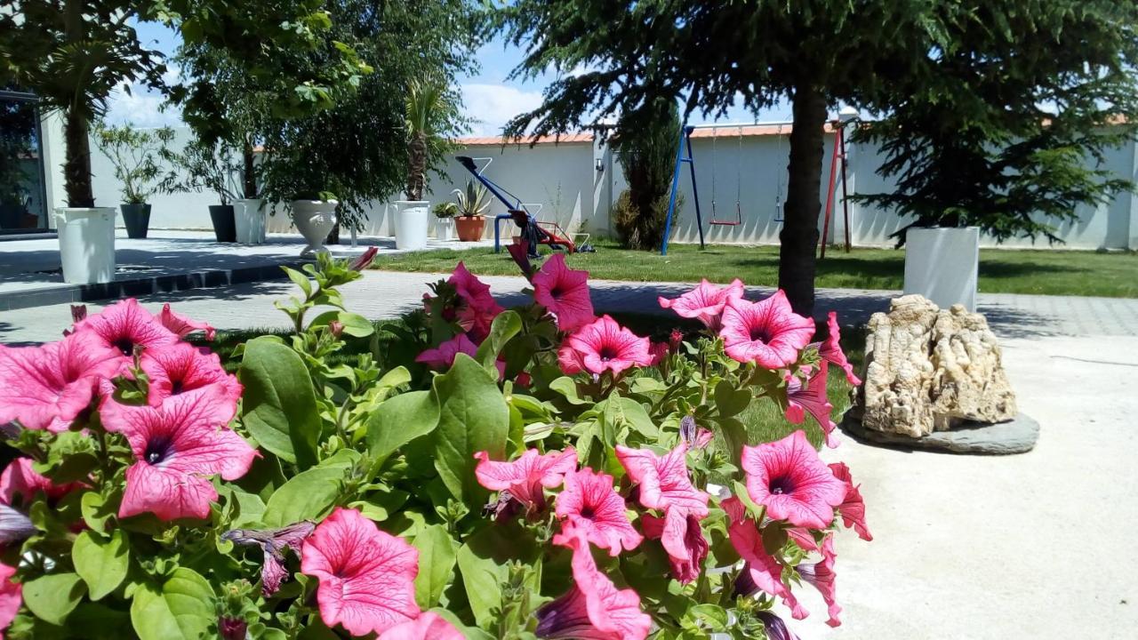 Mesecev Konak Bed and Breakfast Ni Εξωτερικό φωτογραφία