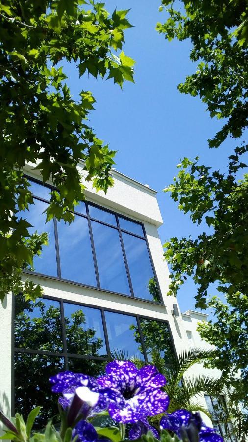 Mesecev Konak Bed and Breakfast Ni Εξωτερικό φωτογραφία