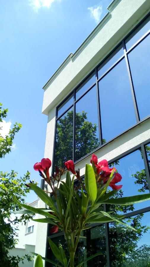 Mesecev Konak Bed and Breakfast Ni Εξωτερικό φωτογραφία