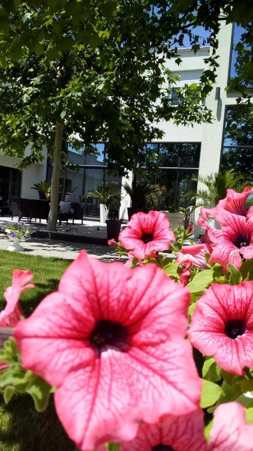 Mesecev Konak Bed and Breakfast Ni Εξωτερικό φωτογραφία
